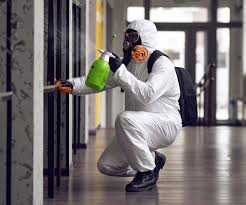 Best Environmental Consulting for Mold Prevention  in Haines City, FL